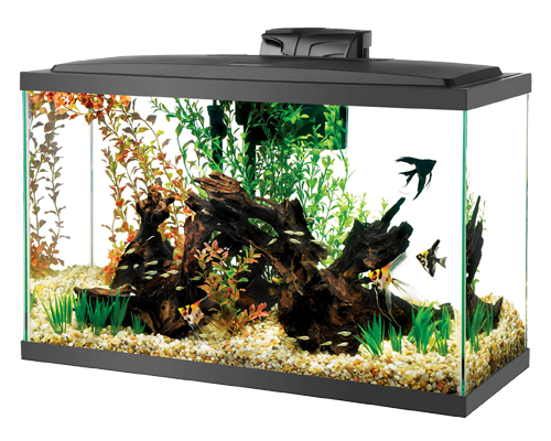 Buy Glass Aquarium Glass Thickness